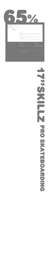 17skillz pro skateboarding outfit