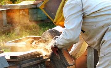 Zio Dario alle prese con l'affumicatore - clicca per ingrandire Zio Dario alle prese con l'affumicatore - clicca per ingrandire