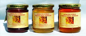 Differenti tipi di miele: acacia, robinia, sulla - clicca per ingrandire Differenti tipi di miele: acacia, robinia, sulla - clicca per ingrandire