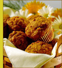Visit our shop! - click to enlarge this image